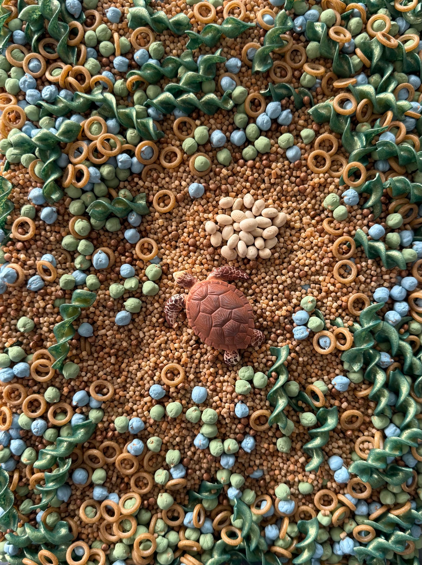 Sea Turtle Life Cycle