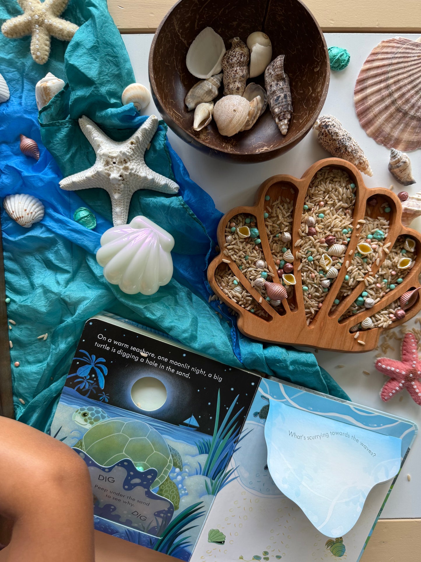 Seashore Sparkle