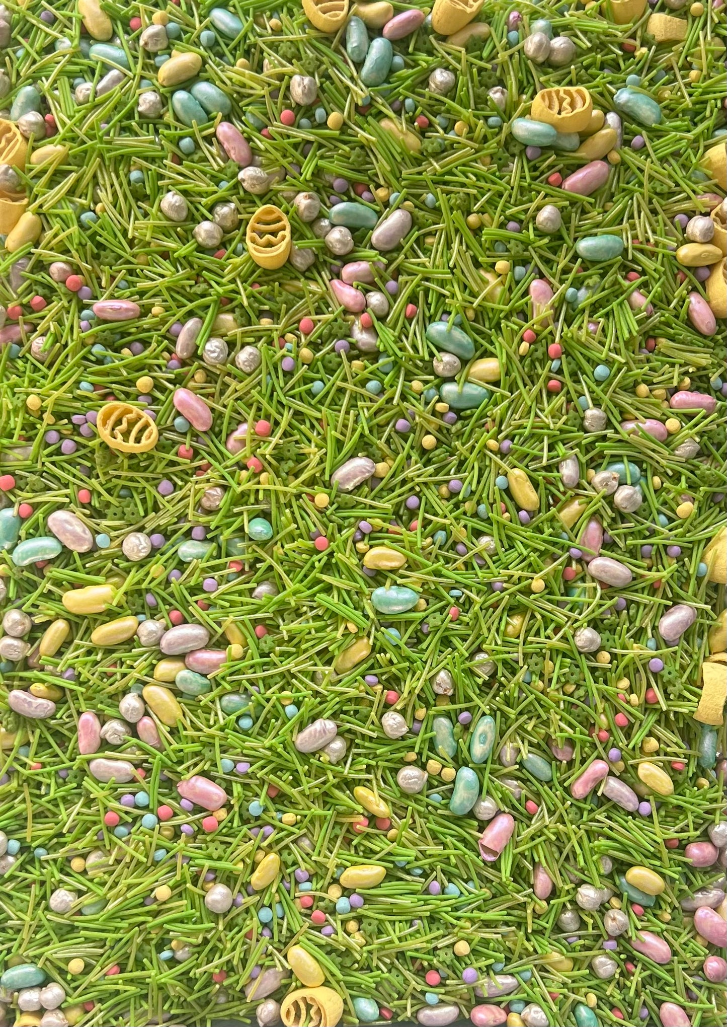 Egg-Hunt