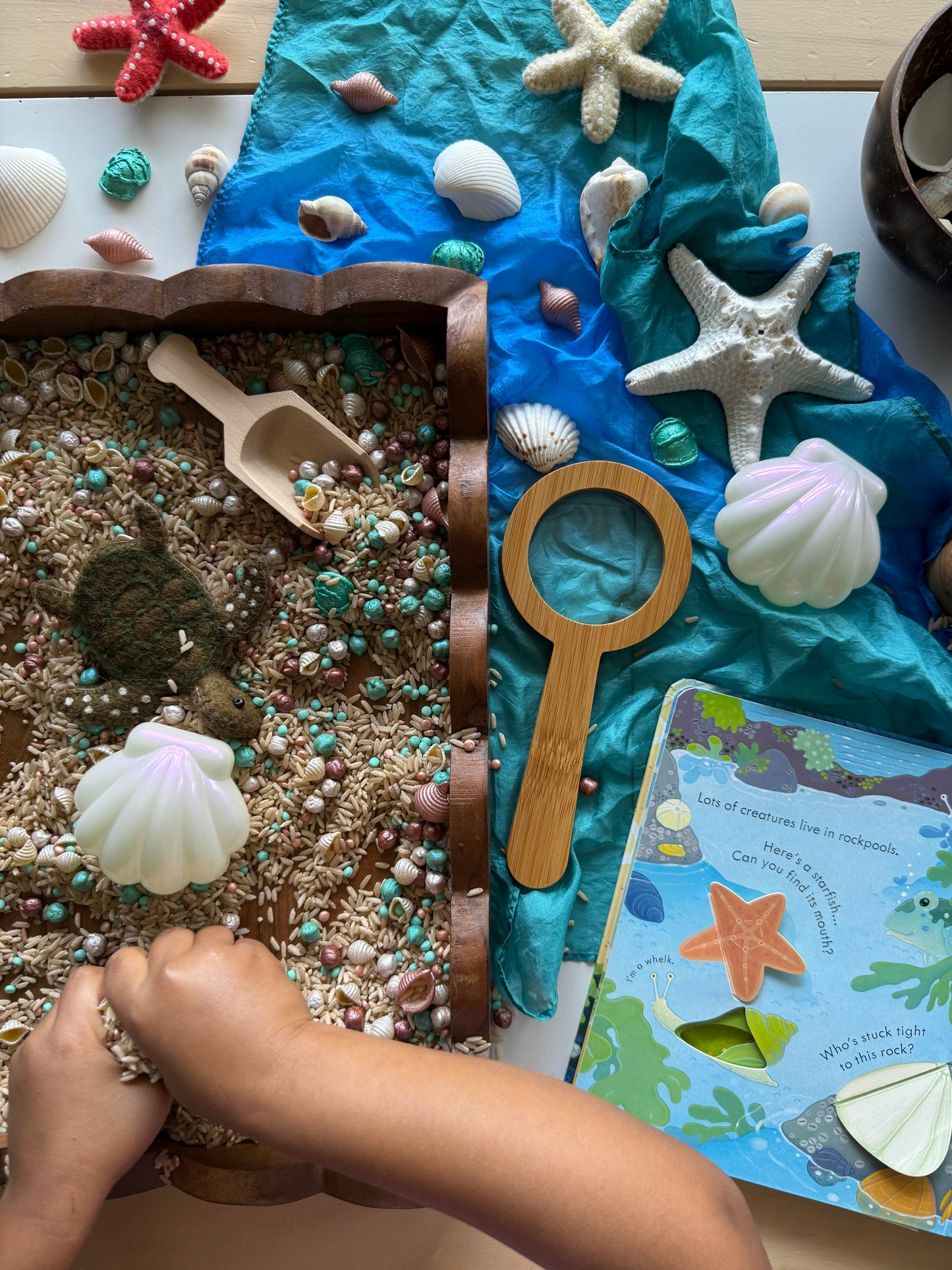 Seashore Sparkle