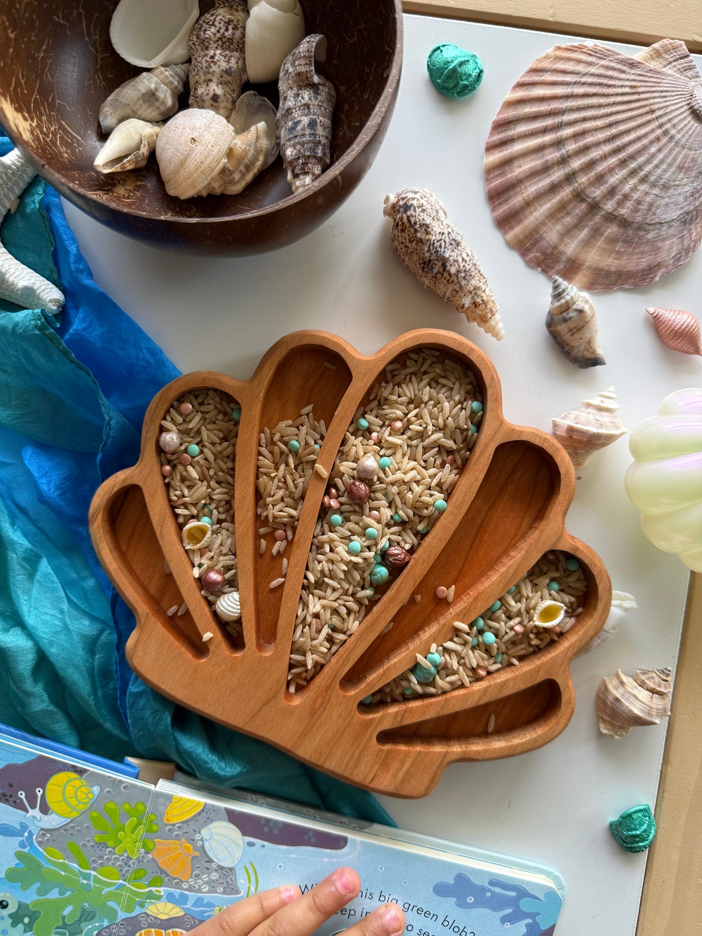 Seashore Sparkle