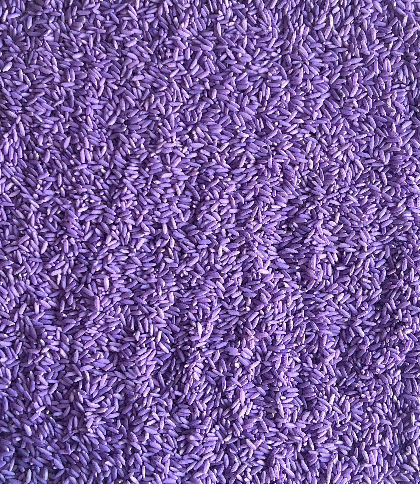 Purple Rice