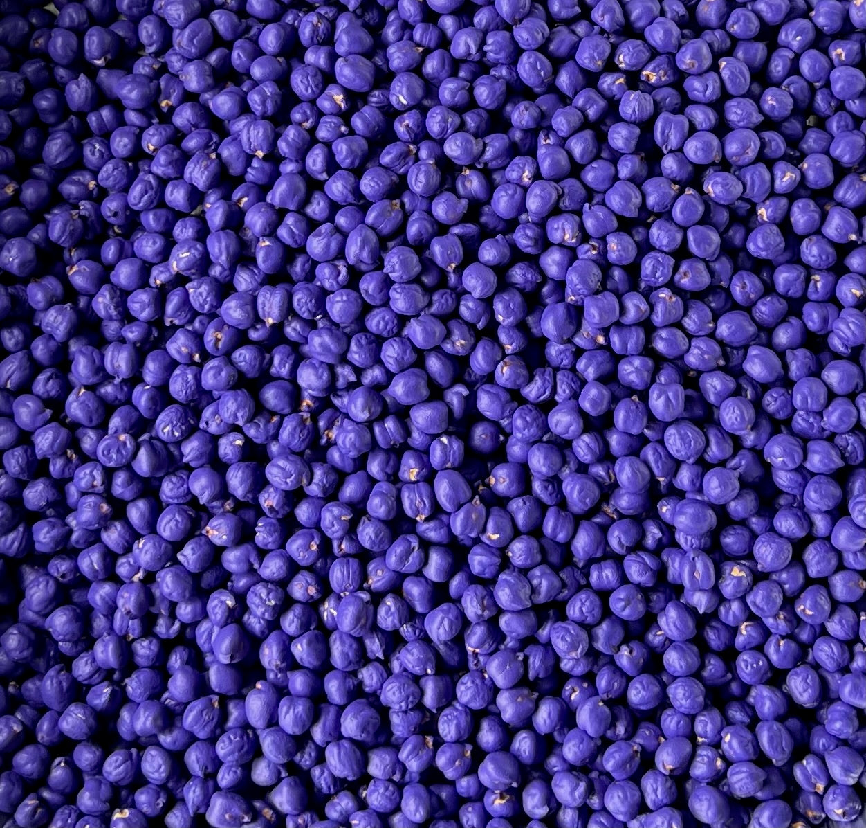 Purple Chickpeas
