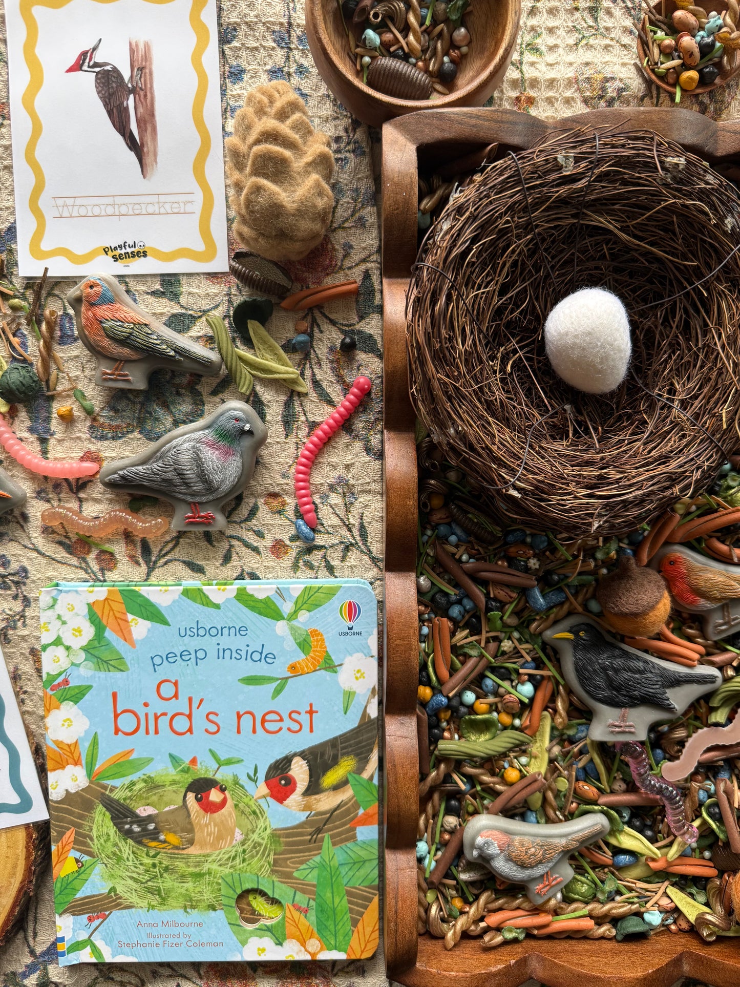 Peep inside a birds nest