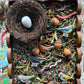 Peep inside a birds nest