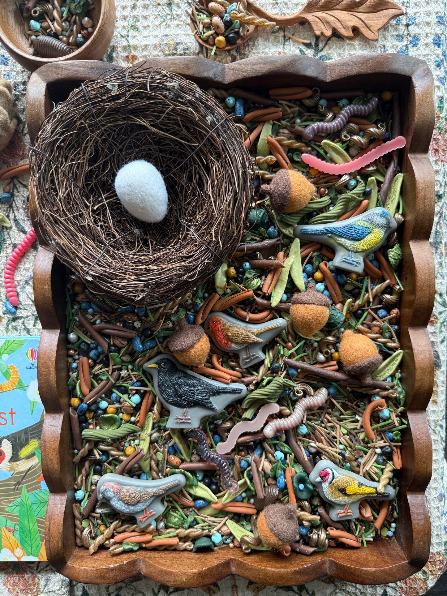 Peep inside a birds nest