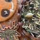 A spider life cycle