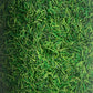 Fresh Cut Grass