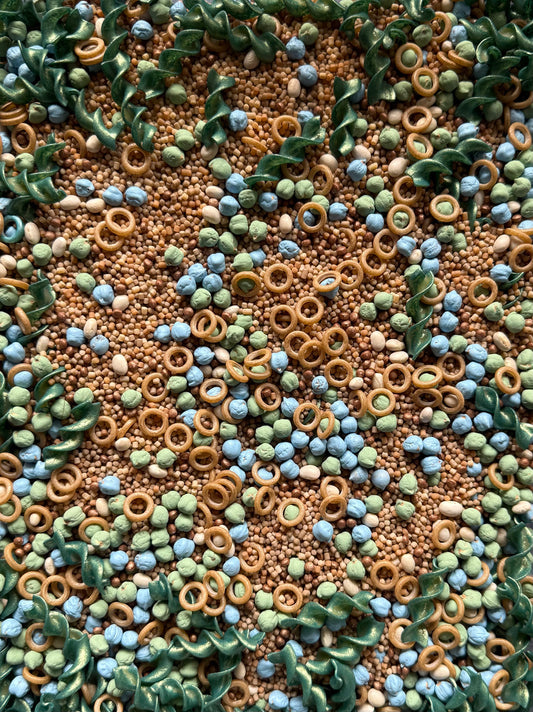 Sea Turtle Life Cycle