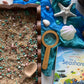 Seashore Sparkle
