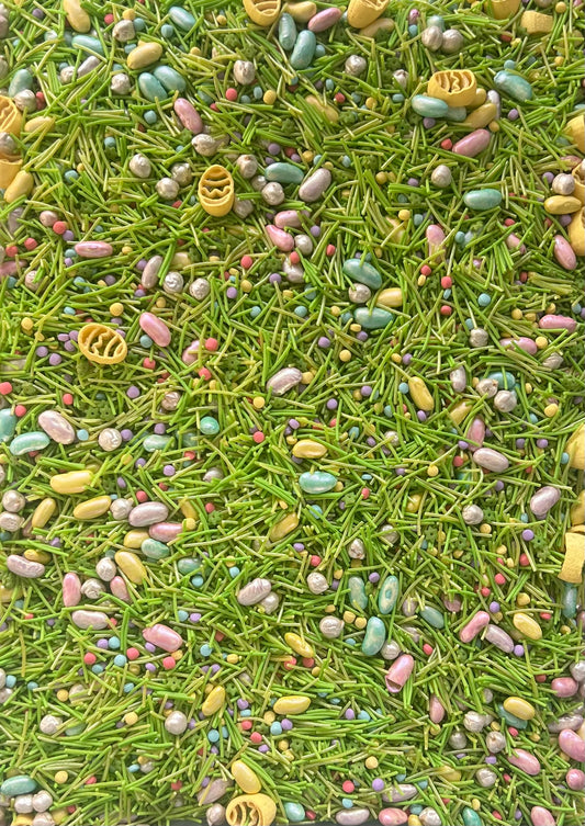 Egg-Hunt