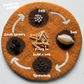 A spider life cycle