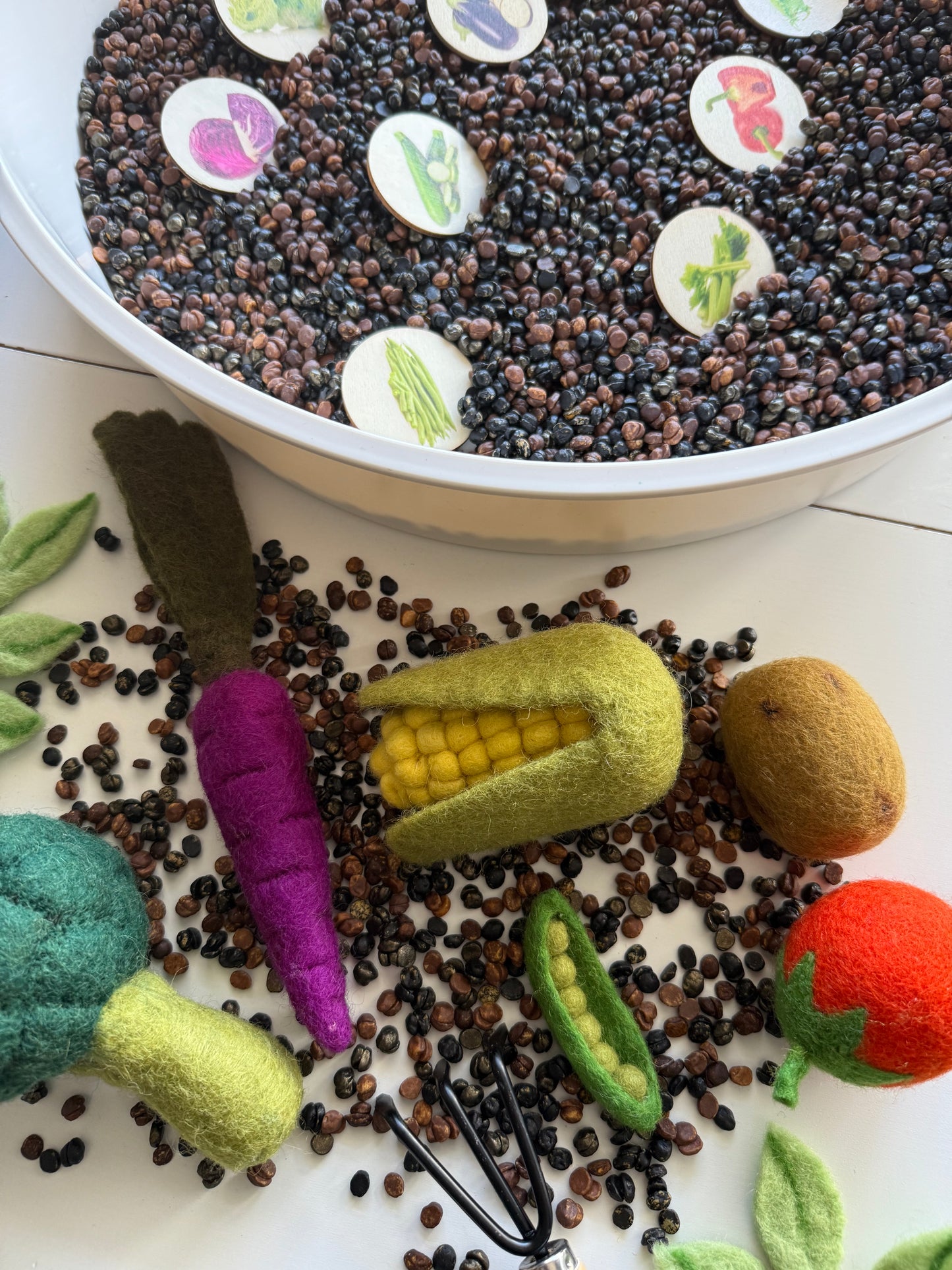 Soil Chickpeas