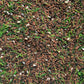 Grass n Dirt