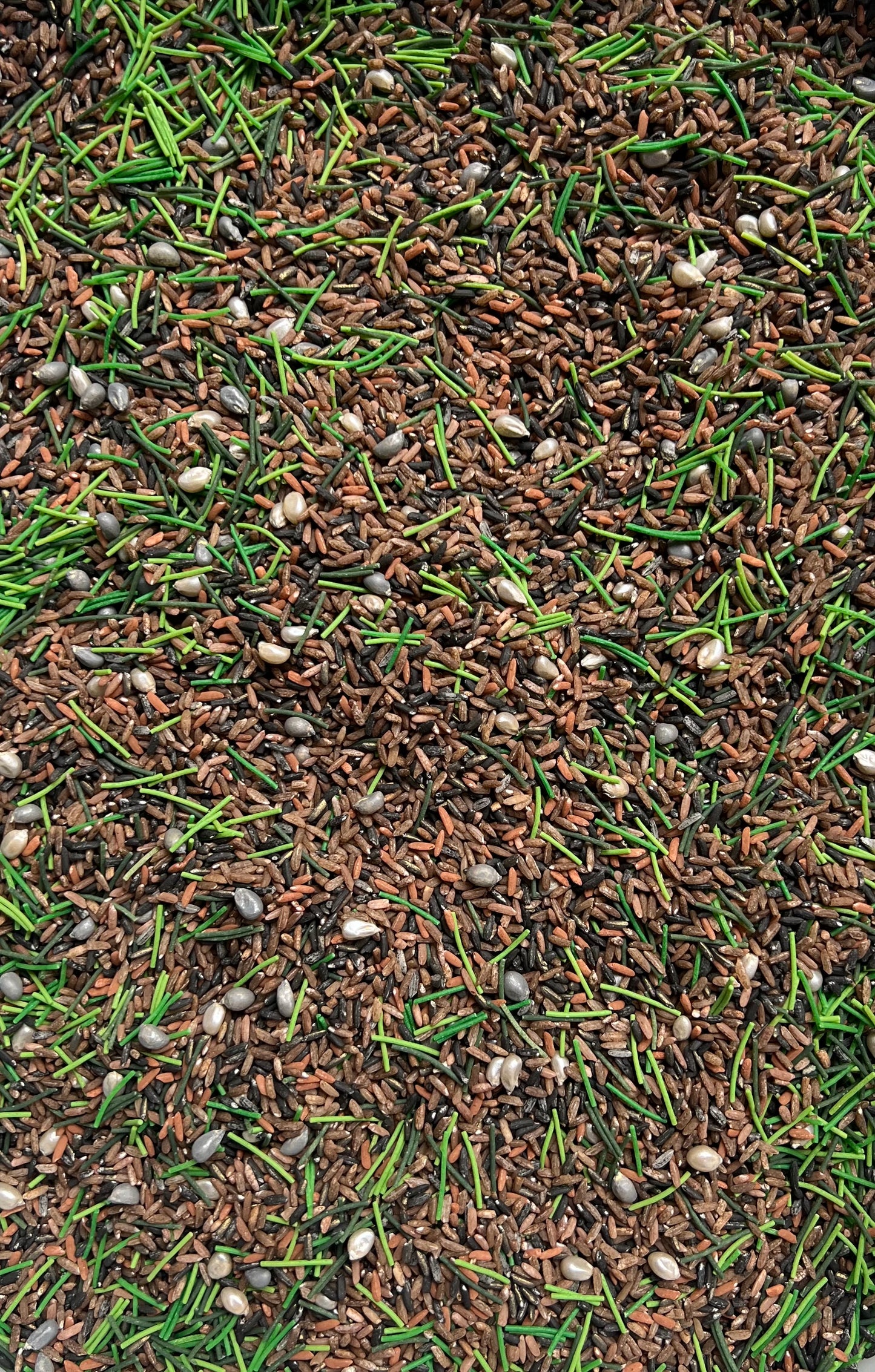 Grass n Dirt