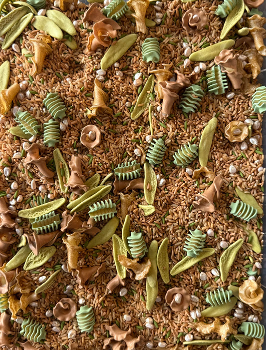 Plant Life