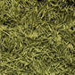 Lustre Green Grass