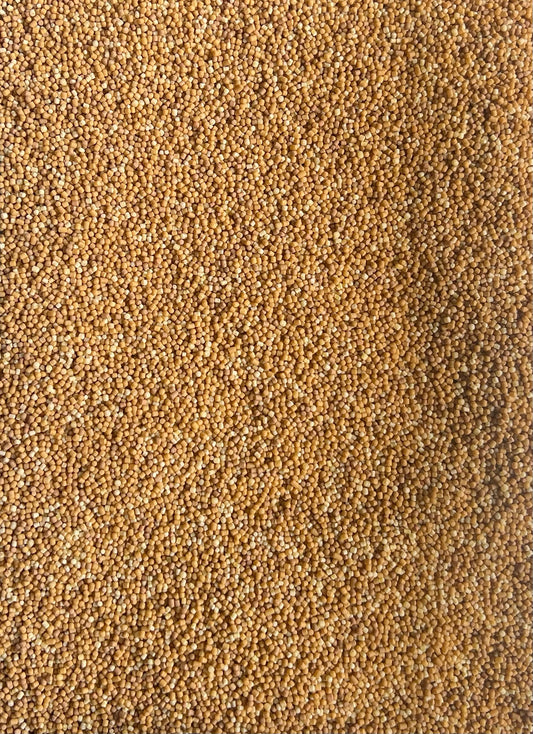 Sand